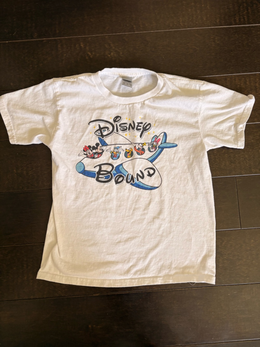 Child Disney Bound Shirt